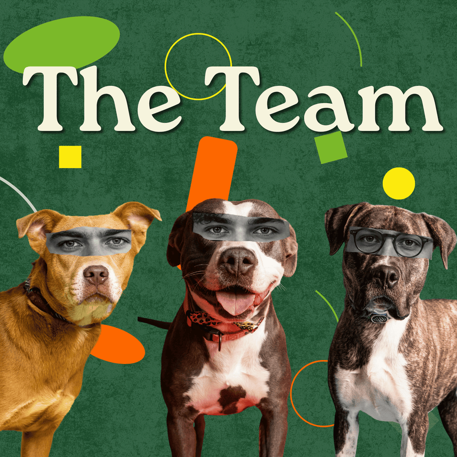 The Vibin Tails Team